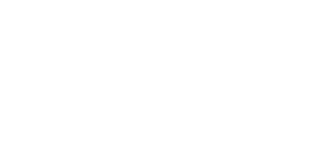 LISINER logo en 01 02